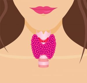 Are You At Risk For Thyroid Disease